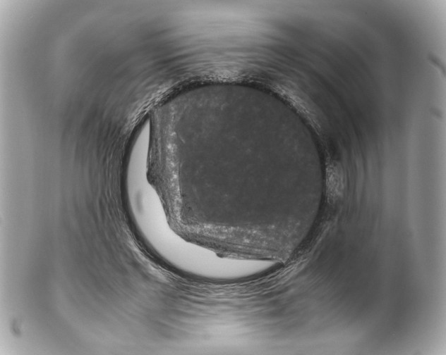 X0000099310493200805301157