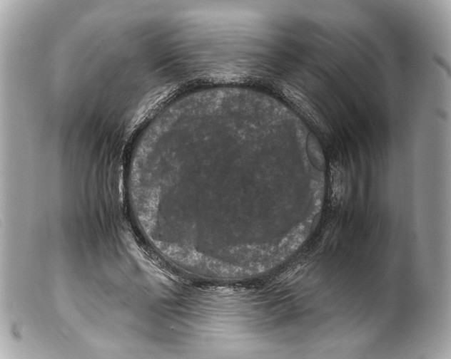 X0000099310494200805301157