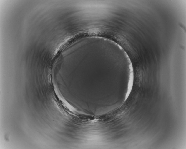 X0000099310496200805301157