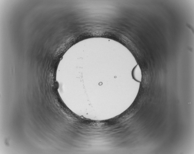 X0000099310497200805301157