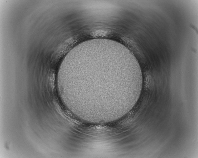 X0000099310498200805301157