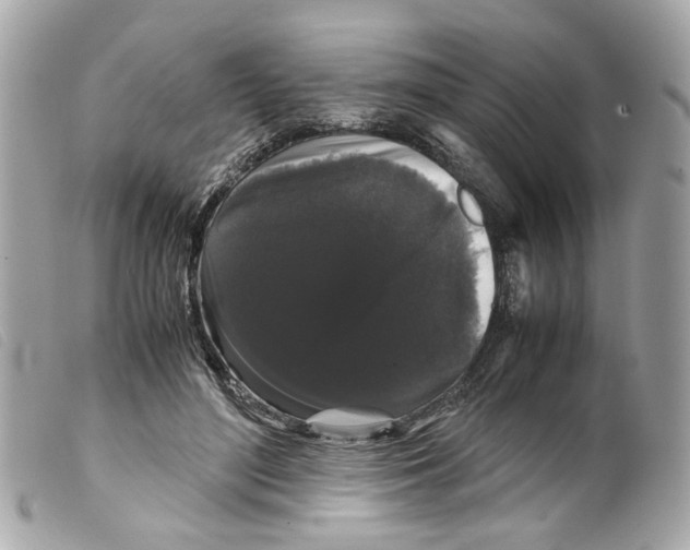 X0000099310500200805301157