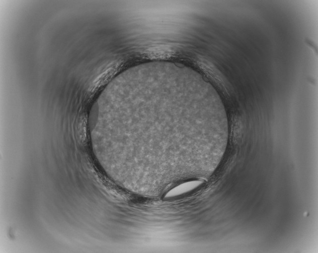 X0000099310501200805301157