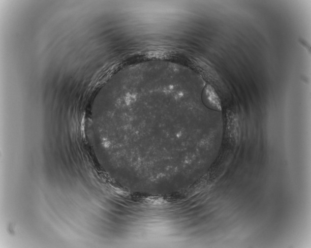 X0000099310502200805301157