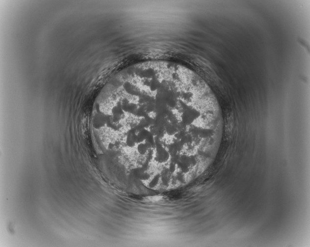 X0000099310503200805301157