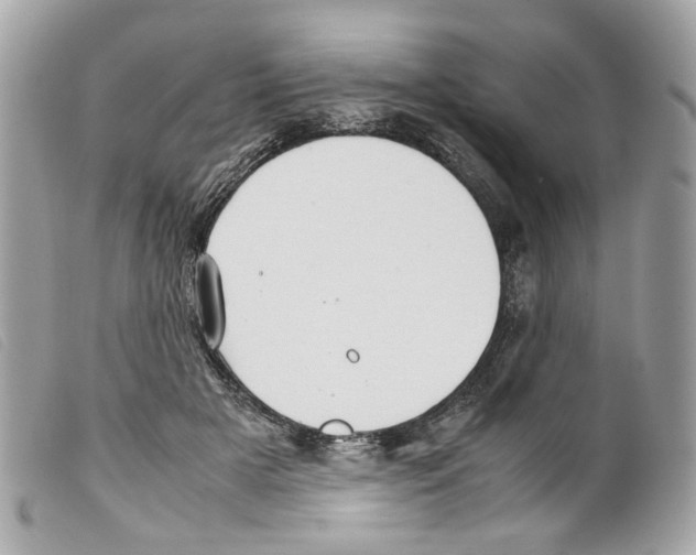 X0000099310505200805301157