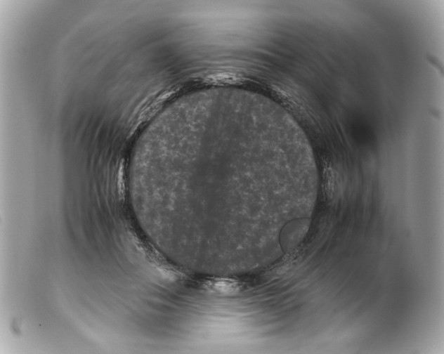 X0000099310506200805301157