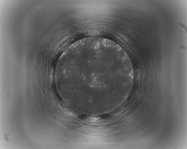 X0000099310507200805301157