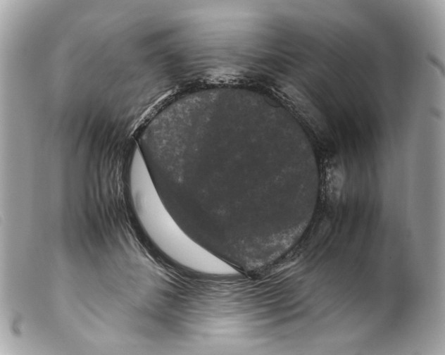 X0000099310508200805301157