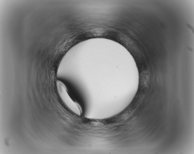 X0000099310509200805301157