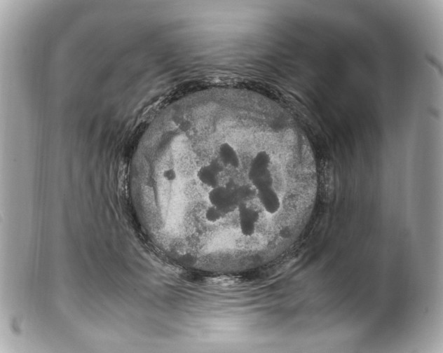 X0000099310511200805301157