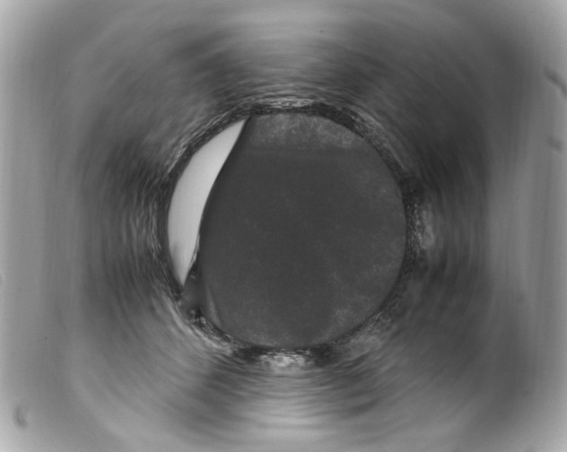 X0000099310512200805301157