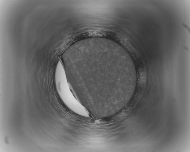 X0000099310513200805301157
