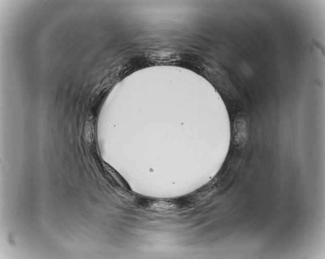 X0000099310515200805301157