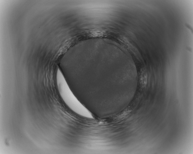 X0000099310516200805301157