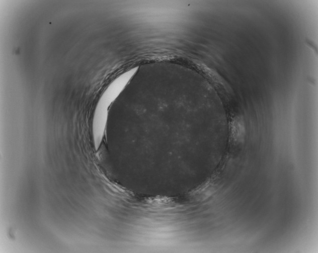X0000099310517200805301157
