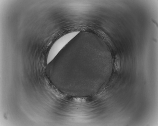 X0000099310520200805301157