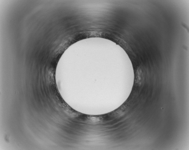 X0000099310522200805301157