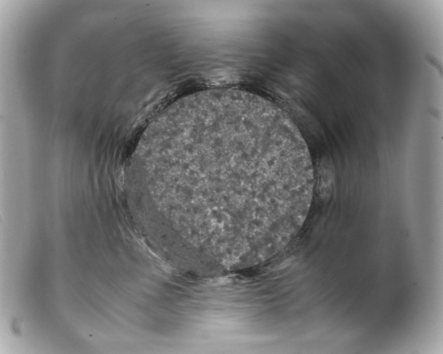 X0000099310523200805301157