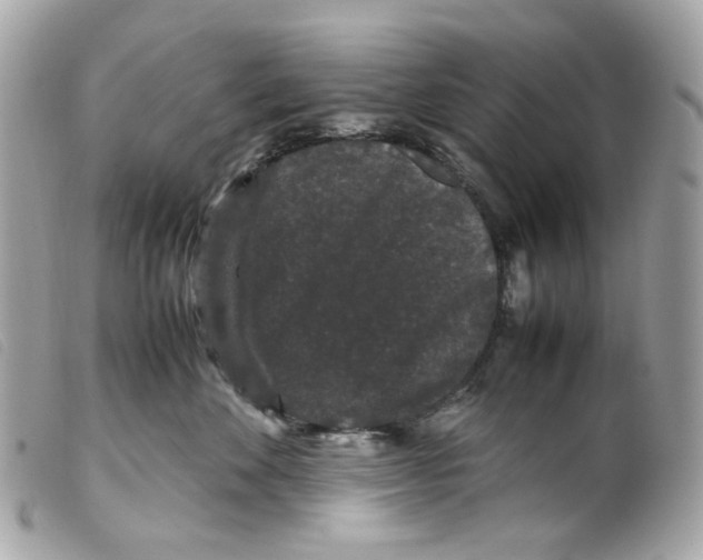 X0000099310524200805301157