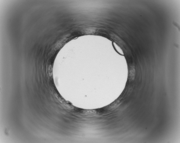 X0000099310525200805301157