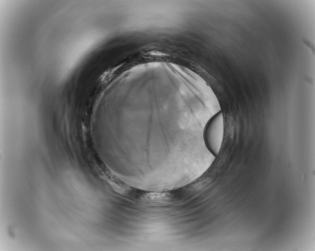 X0000099310526200805301157