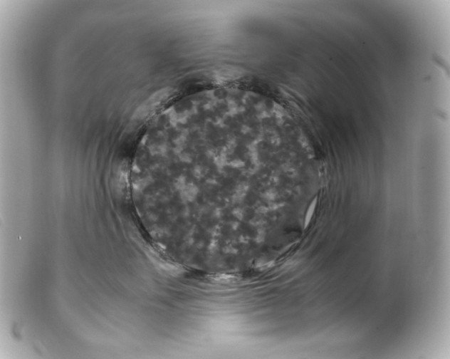 X0000099310527200805301157