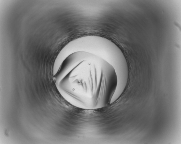 X0000099310528200805301157