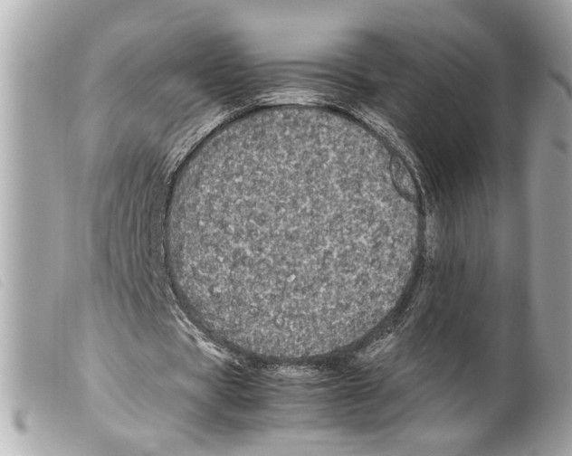 X0000099310529200805301156