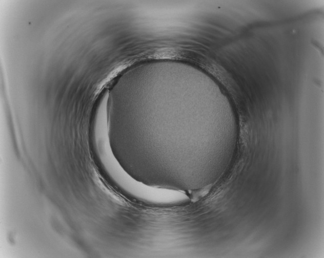 X0000099310530200805301156