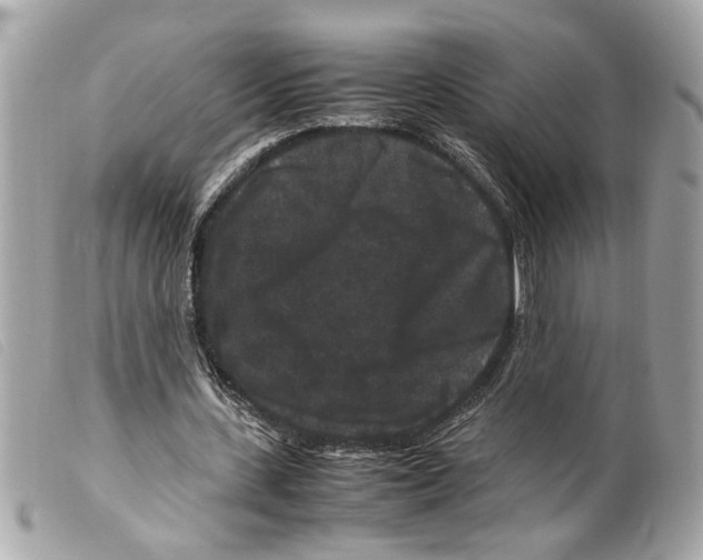 X0000099310531200805301156