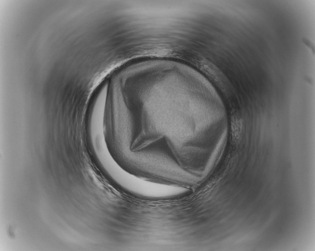 X0000099310532200805301156