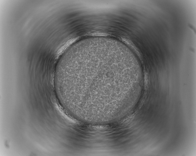 X0000099310533200805301156