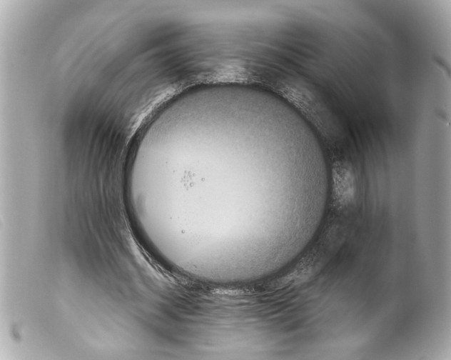 X0000099310534200805301156