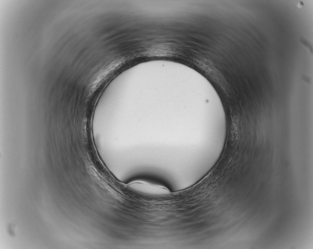 X0000099310535200805301156