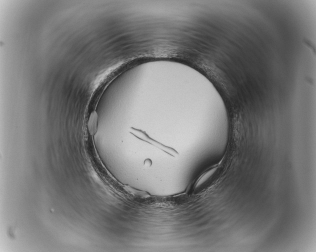 X0000099310536200805301156