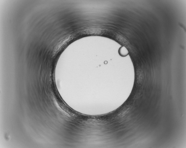 X0000099310538200805301156