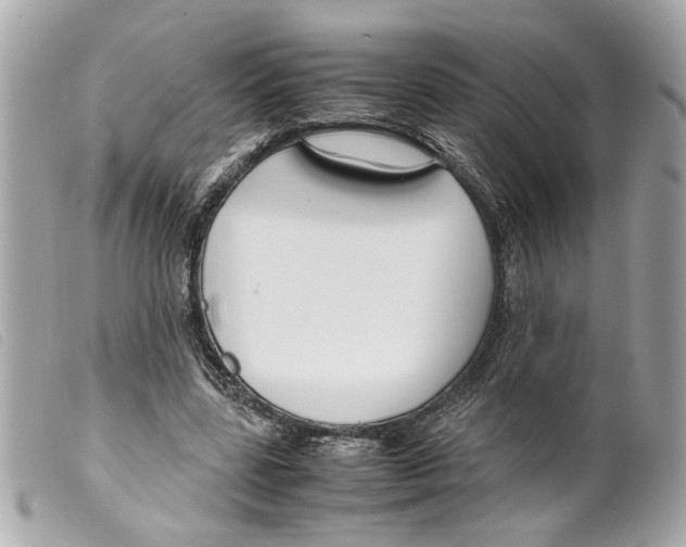X0000099310539200805301156