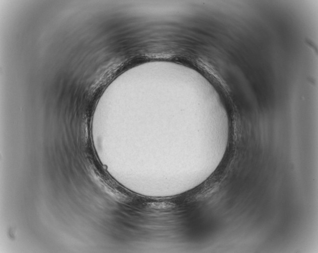 X0000099310541200805301156