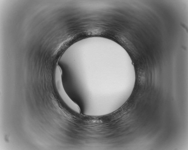 X0000099310543200805301156