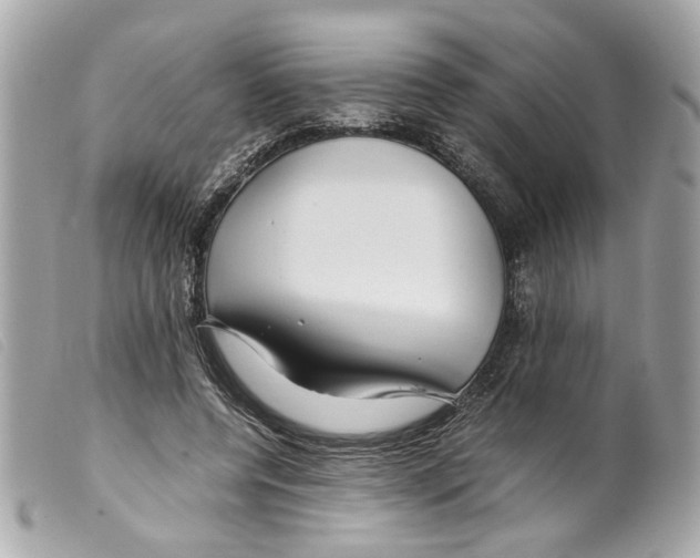 X0000099310544200805301156