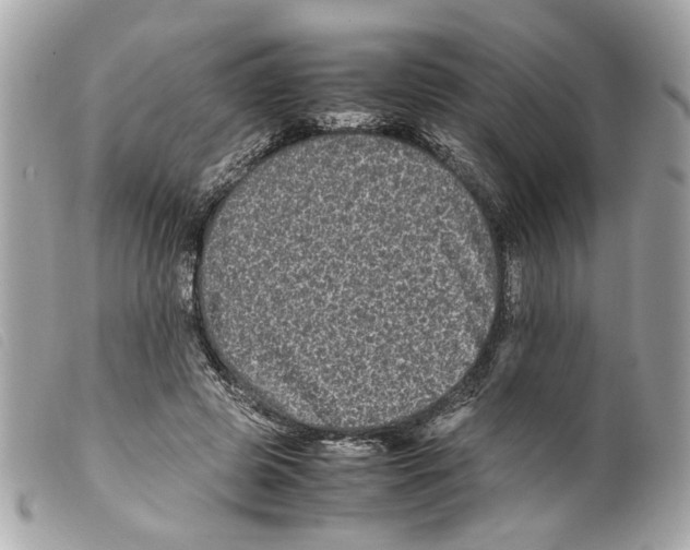 X0000099310545200805301156