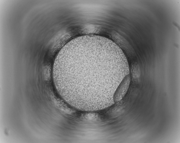X0000099310546200805301156