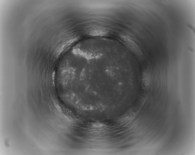 X0000099310547200805301156