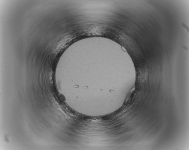 X0000099310548200805301156