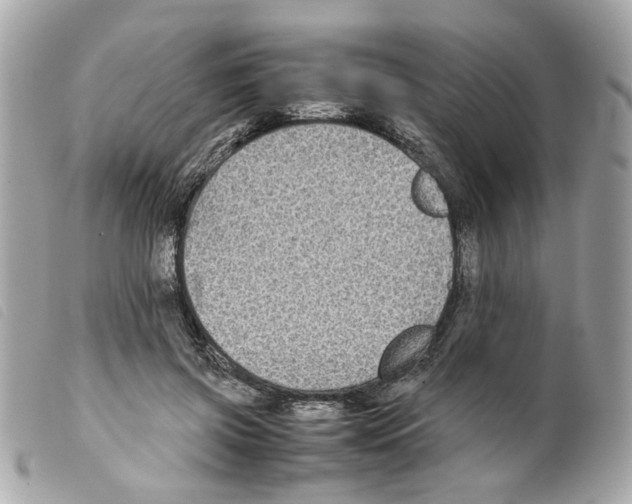 X0000099310549200805301156