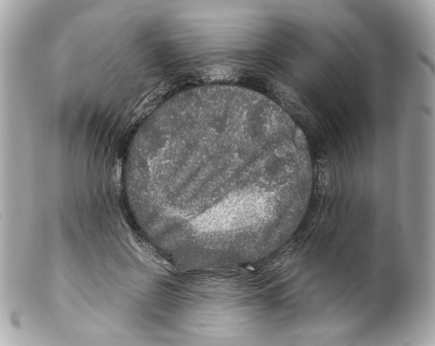X0000099310550200805301156