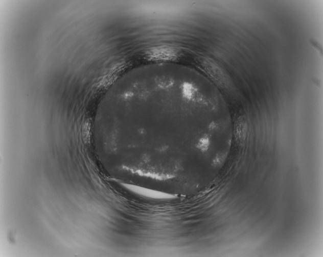 X0000099310551200805301156