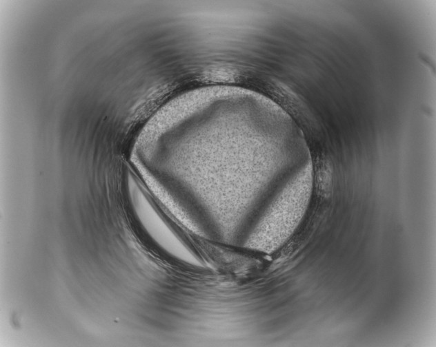 X0000099310552200805301156
