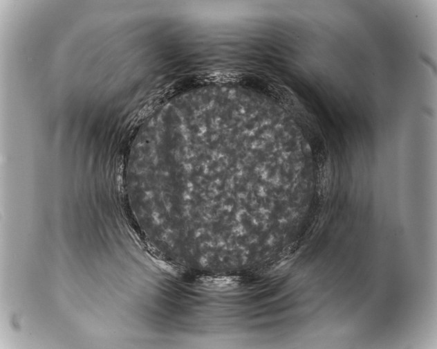 X0000099310553200805301156